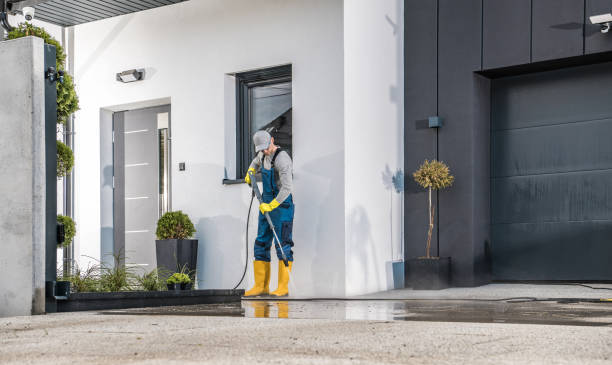 Best Sidewalk and Walkway Cleaning  in Presquille, LA